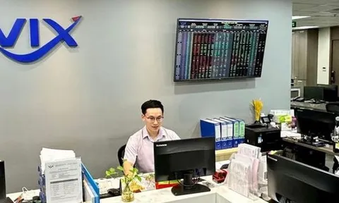 Lợi nhuận giảm sâu, Chứng khoán VIX thay loạt lãnh đạo cấp cao