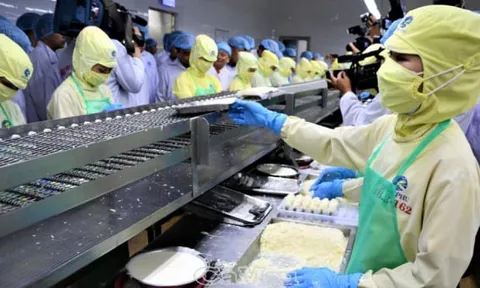 Nhóm doanh nghiệp nào hưởng lợi khi USD mạnh hơn?