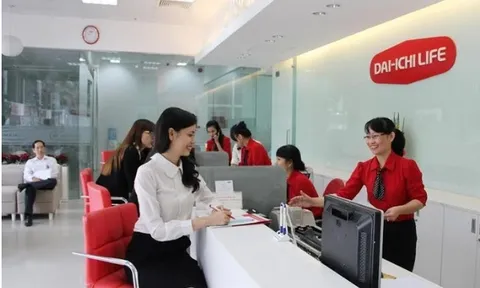 Các quỹ đầu tư của Dai-Ichi thua lỗ đậm: Những con số gây 'sốc'
