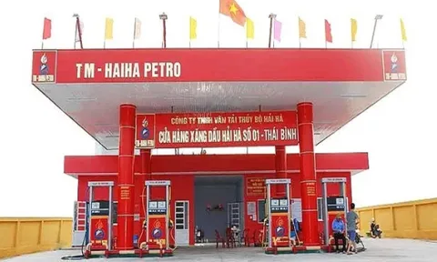Đại gia xăng dầu vô địch nợ thuế: Vận tải thủy bộ Hải Hà nợ ngân sách gần 1.800 tỷ đồng