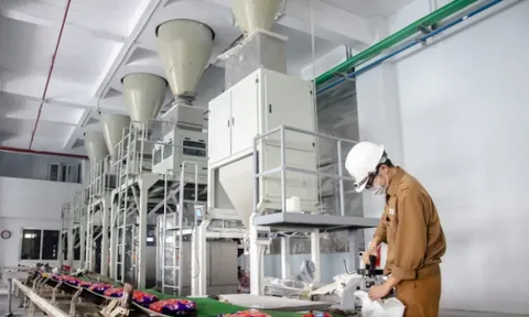 Lợi nhuận sau thuế Hóa chất Đức Giang giảm trong quý 3/2024