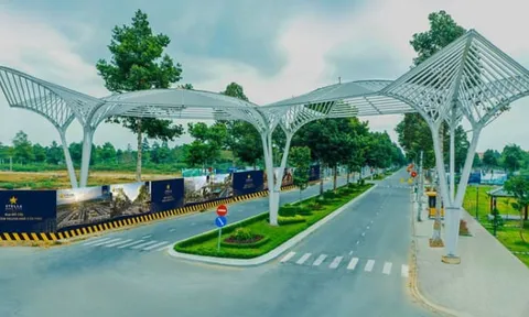 Cá nhân, doanh nghiệp nào liên quan đến khoản nợ thuế của Ngân Thuận ở Cần Thơ?