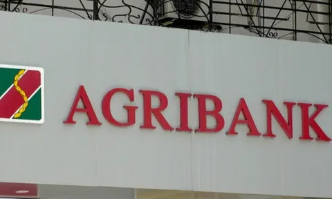 Nguy cơ mất trắng hàng trăm tỷ của Agribank, BIDV, Vietcombank tại doanh nghiệp sắp phá sản Cadovimex
