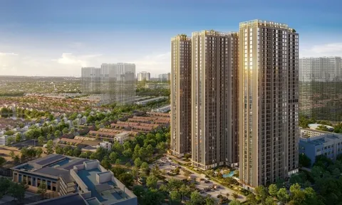 Lý do căn hộ studio The Victoria luôn được nhà đầu tư săn đón?