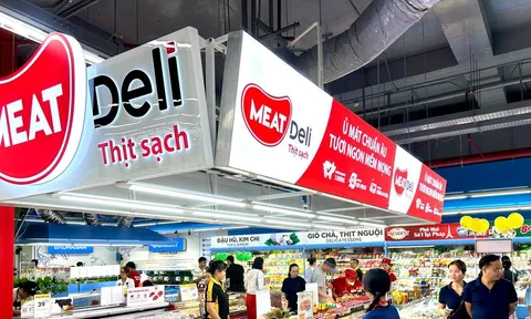 Quý III/2025, Masan (MSN) ghi nhận lợi nhuận gấp 1,4 lần so với cùng kỳ