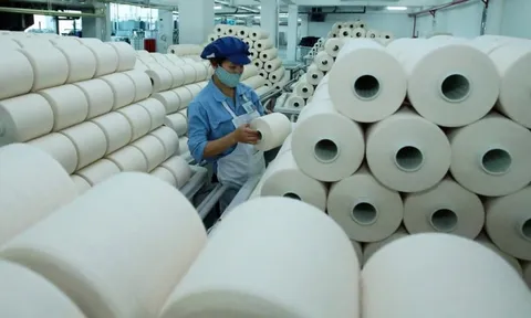 Áp lực tỷ giá khiến STK hụt hơi, lãi ròng quý III/2025 lao dốc 87%
