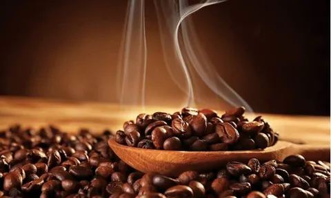Giá nông sản hôm nay 28/10/2025: Giá cà phê và hồ tiêu đồng loạt bật tăng