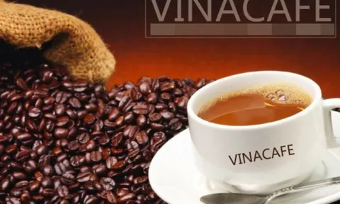 Quý III/2024: Vinacafé Biên Hòa suy giảm lợi nhuận