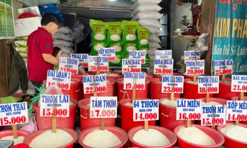 CPI tăng do học phí và giá gạo leo thang