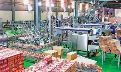 Chi phí leo thang, lợi nhuận Sữa Lof “trượt dốc” trong quý III/2025