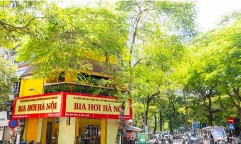 Habeco: Kết quả kinh doanh quý 3/2022 cao nhất 2 năm