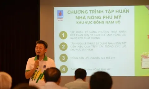 6 tháng đầu năm 2022: PVFCCo giữ đà tăng trưởng tích cực