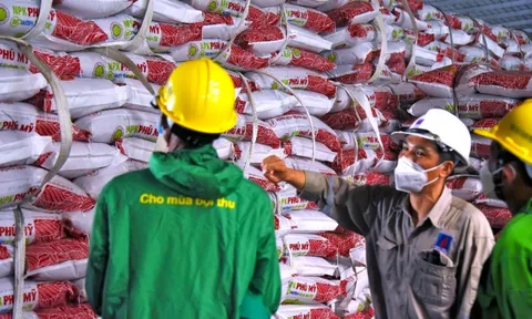 PVFCCo công bố BCTC quý 3, tiếp tục đà tăng trưởng mạnh mẽ