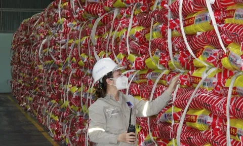 PVFCCo lọt “Top 50 công ty niêm yết tốt nhất” và “Top 50 Công ty Đại chúng Uy tín và Hiệu quả” năm 2022
