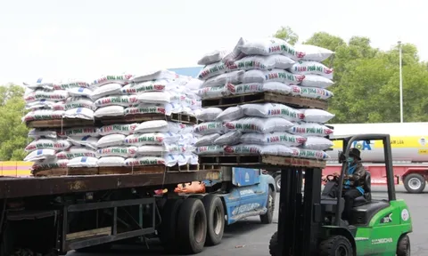 PVFCCo: Tận dụng tốt cơ hội từ thị trường xuất khẩu, ước lợi nhuận 9 tháng tăng gấp 3 lần so với cùng kỳ