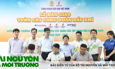PVFCCo tham gia chương trình trồng 03 triệu cây xanh của Petrovietnam tại NMNĐ Sông Hậu 1