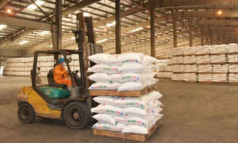 PVFCCo (DPM): Chốt quyền chia cổ tức tiền mặt tỷ lệ 40%