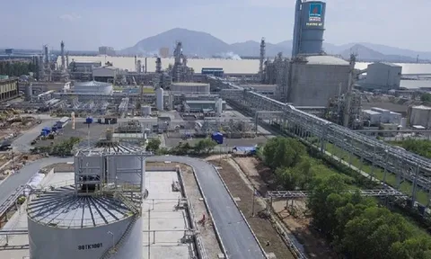 PVFCCo: 2 thập kỷ vững vàng vị thế