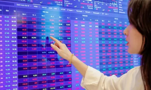 Chứng khoán giảm sâu, nhà đầu tư tay ngang có nên 'all-in' bắt đáy?