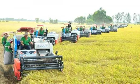 Lộc Trời lỗ 327 tỷ, dòng tiền kinh doanh âm gần 3.800 tỷ