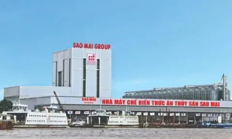 Lợi nhuận sau thuế của Sao Mai trong quý 3/2023 giảm hơn 70%
