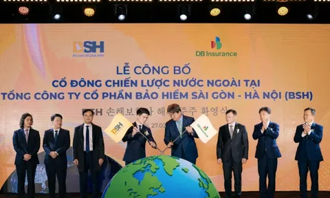 Bảo hiểm BSH: Lợi nhuận tiếp tục âm, kỳ vọng trở lại nhờ vốn ngoại