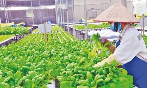 Những chính sách mới có hiệu lực từ tháng 11/2024