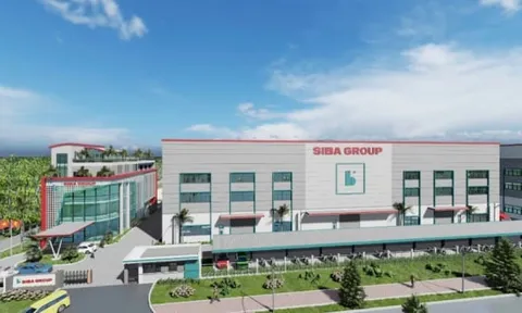 Siba Group giảm lãi quý 3/2025 tới hơn 75%