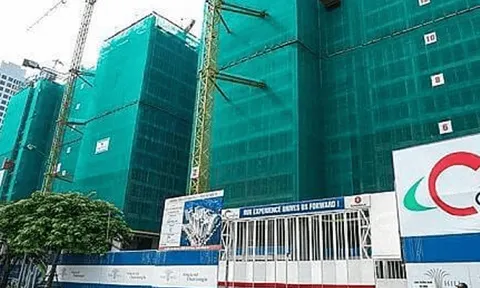 Đại gia ngành xây dựng báo lỗ vì đầu tư cổ phiếu