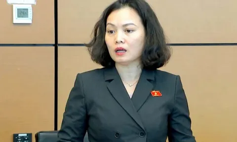 Trốn đóng bảo hiểm xã hội từ 6 tháng trở lên phải áp dụng quy định hình sự