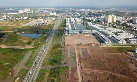 HoREA đề nghị siết chặt nạn bỏ cọc đấu giá đất