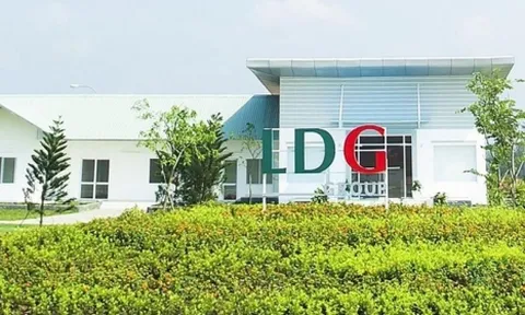Đầu tư LDG bất ngờ miễn nhiệm 2 Phó tổng Giám đốc
