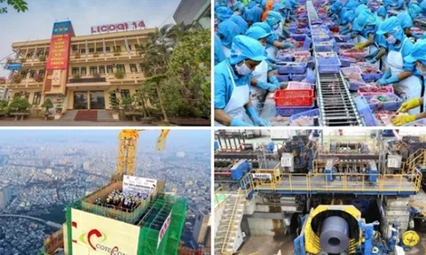 Cầm tiền đi đầu tư chứng khoán, loạt doanh nghiệp ‘tay ngang’ ôm trái đắng