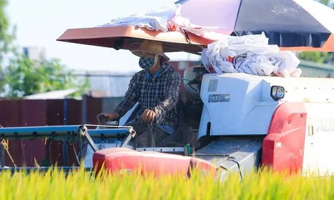 Lợi nhuận doanh nghiệp ngành gạo phân hoá: Người thắng lớn, kẻ hụt hơi