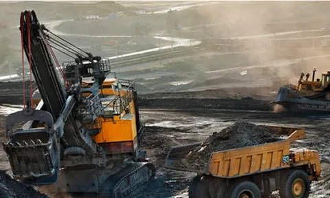 Lợi nhuận Coalimex giảm mạnh trong quý III/2025