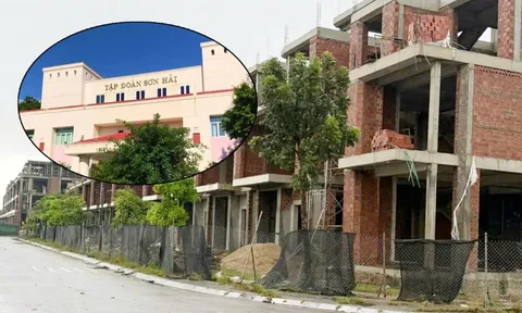 Sơn Hải lên tiếng sau kết luận thanh tra dự án 500 tỷ tại Quảng Trị
