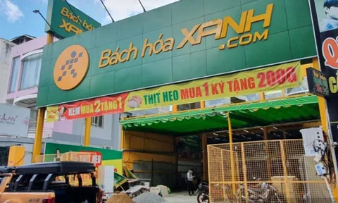 Chuyện lòng vòng rau sạch