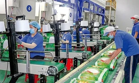Cổ phiếu TAR tiếp tục lao dốc dù công ty lãi trong quý 3