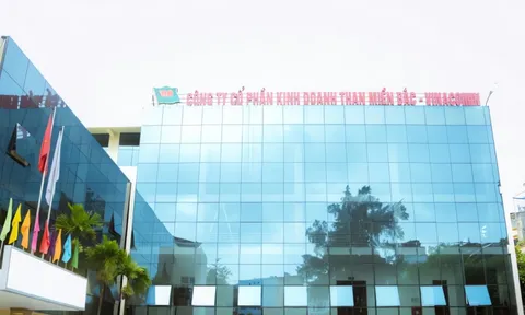 Than miền Bắc - Vinacomin bị truy thu thuế 3 tỷ, nợ phải trả hơn 7.000 tỷ