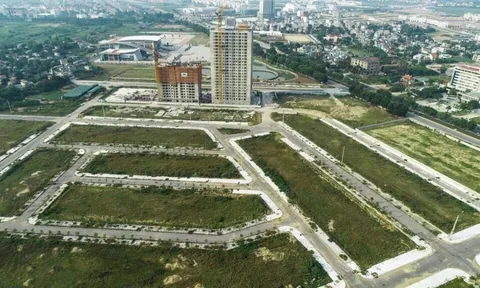 Ôm loạt dự án nghìn tỷ, Đông Sơn Thanh Hoá bị cưỡng chế vì nợ thuế