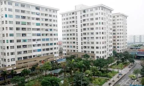 Bán và cho thuê nhà ở xã hội sai đối tượng bị phạt hàng trăm triệu đồng