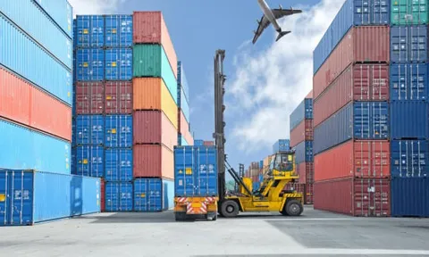 Nợ thuế quá hạn, nhiều doanh nghiệp bị dừng làm thủ tục hải quan