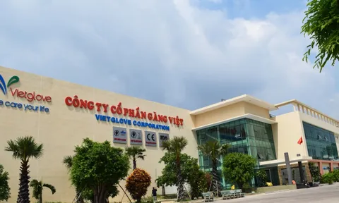 Găng Việt liên tục thua lỗ trước khi về cùng nhà với TC Group