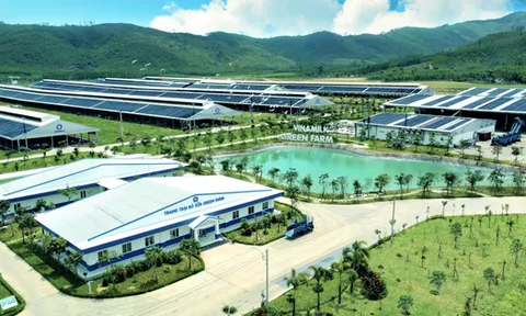 Giá trị vốn hóa tăng hàng tỷ USD sau pha đi ngược thị trường, điều gì làm nên sức hấp dẫn của cổ phiếu Vinamilk...