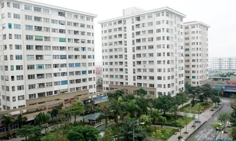 Mua nhà ở xã hội vướng “rào cản” thủ tục: Bộ Xây dựng đề nghị kiểm tra, xử lý