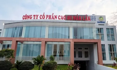 Công ty CP Đầu tư cao su Đắk Lắk bị phạt thuế hoạt động thế nào?