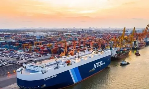 Cảng Hải Phòng: Đang lãi trăm tỷ, bất ngờ báo lỗ chục tỷ trong tháng 10/2023