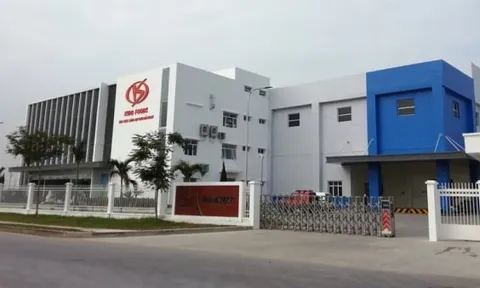 Tập đoàn Kido bị phạt hơn 117 triệu đồng vì giấu thông tin