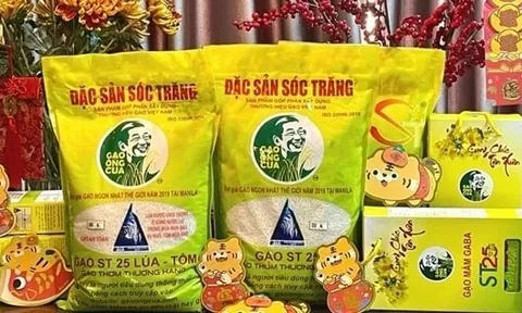 Gạo ST25 của Việt Nam tiếp tục được vinh danh “Gạo ngon nhất thế giới”