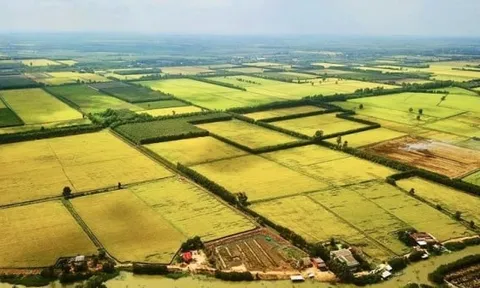 Kéo dài miễn thuế sử dụng đất nông nghiệp thêm 5 năm